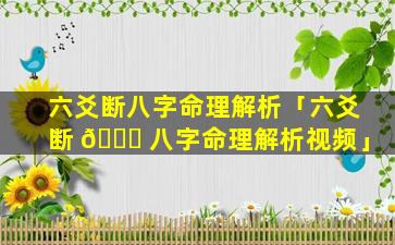 六爻断八字命理解析「六爻断 🐋 八字命理解析视频」